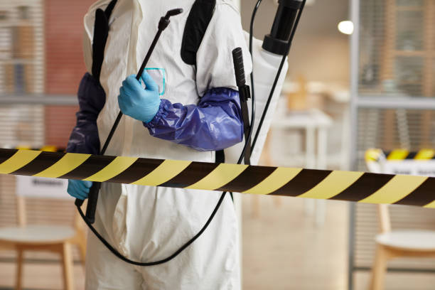 Professional Sewage Cleanup technician working in North Sutton, NH